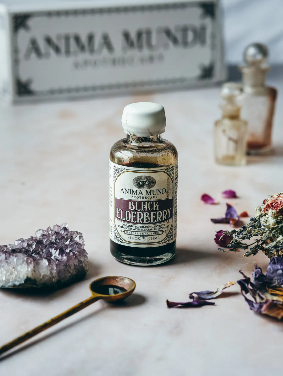black elderberry syrup | botanical + mushroom elixir