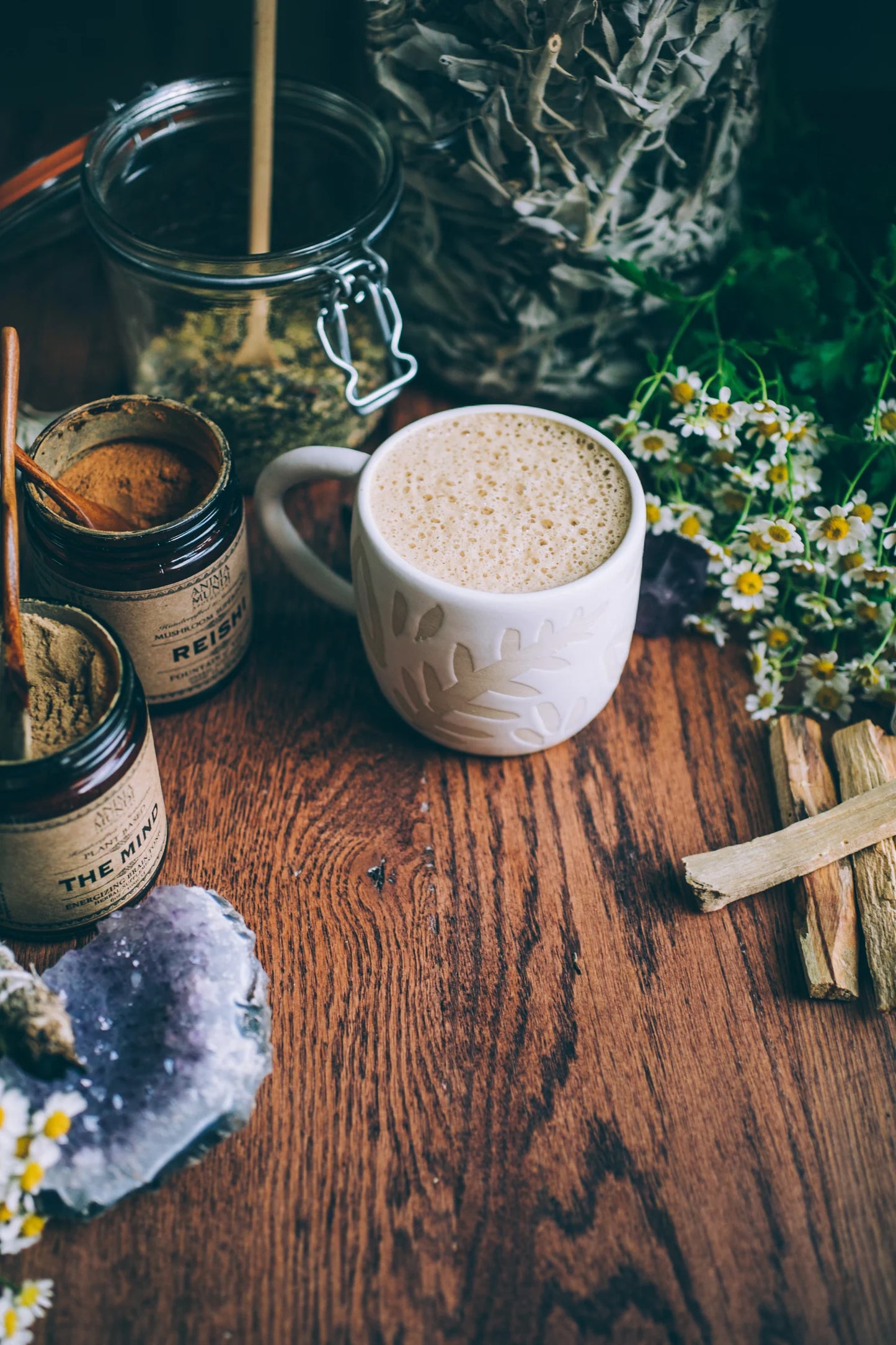 REISHI | Organic Mushroom Powder, Spirit Super-Tonic*