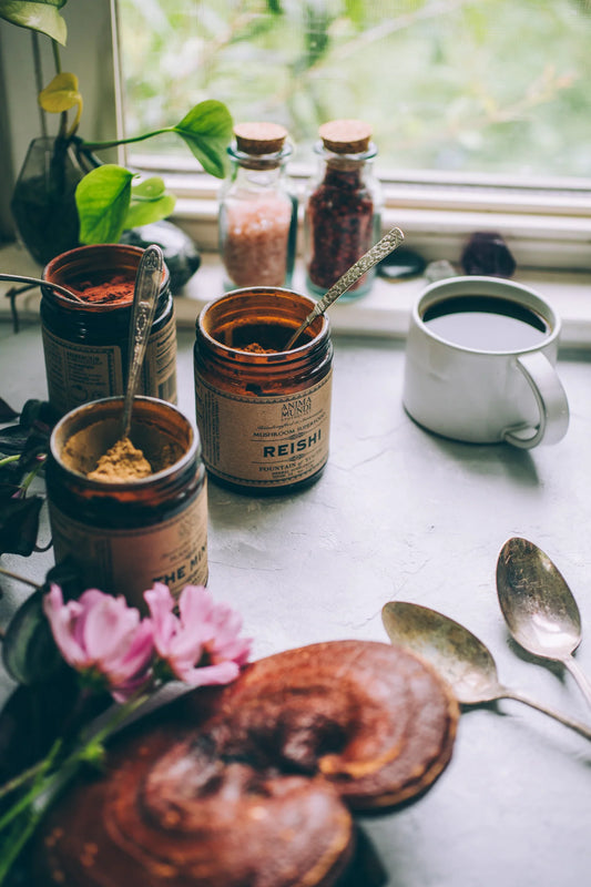 REISHI | Organic Mushroom Powder, Spirit Super-Tonic*