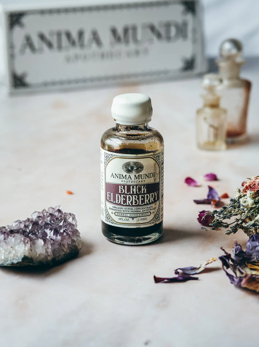 black elderberry syrup | botanical + mushroom elixir